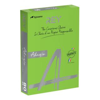 Papier kolorowy REY Adagio A4/80g Intense 500 arkuszy, intensywny 52 - ciemny zielony