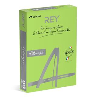 Papier kolorowy REY Adagio A4/80g Intense 500 arkuszy, intensywny 16 - jasny zielony