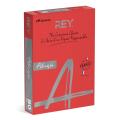 Papier kolorowy REY Adagio A4/80g Intense 500 arkuszy, intensywny 22 - czerwony