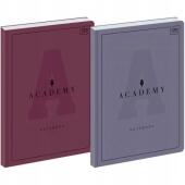 Zeszyt Interdruk Academy A4, w kratkę, papier 90g, twarda op...
